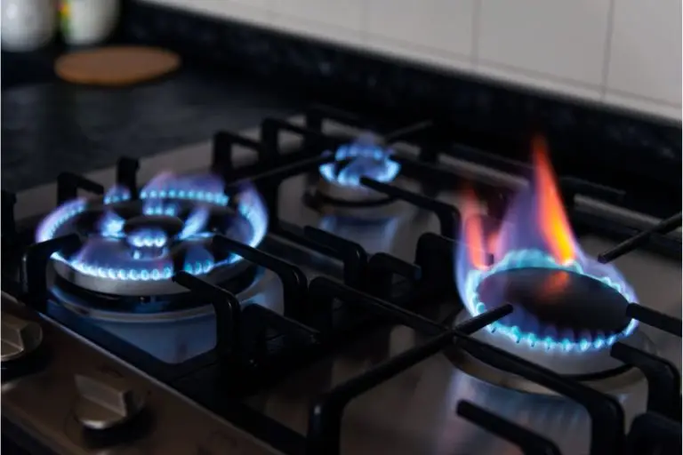 Gas Stove Repair and Service
